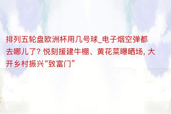 排列五轮盘欧洲杯用几号球_电子烟空弹都去哪儿了? 悦刻援建牛棚、黄花菜曝晒场, 大开乡村振兴“致富门”
