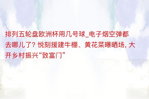 排列五轮盘欧洲杯用几号球_电子烟空弹都去哪儿了? 悦刻援建牛棚、黄花菜曝晒场， 大开乡村振兴“致富门”