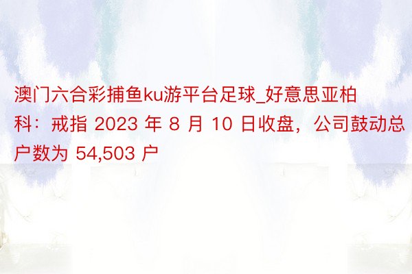 澳门六合彩捕鱼ku游平台足球_好意思亚柏科：戒指 2023 年 8 月 10 日收盘，公司鼓动总户数为 54,503 户