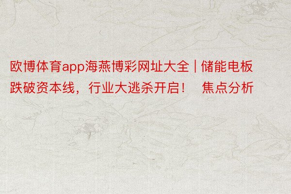 欧博体育app海燕博彩网址大全 | 储能电板跌破资本线，行业大逃杀开启！  焦点分析